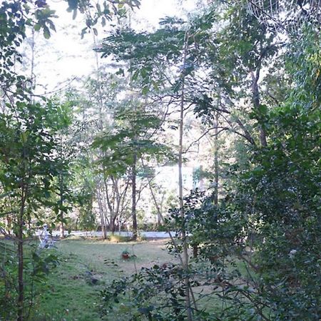 Sterling Nature Trails Dabhosa , Jawahar Birjpara Dış mekan fotoğraf