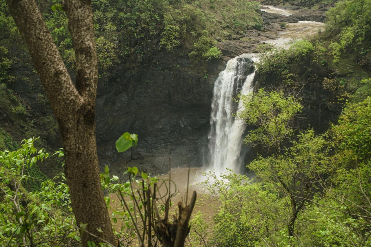 Sterling Nature Trails Dabhosa , Jawahar Birjpara Dış mekan fotoğraf