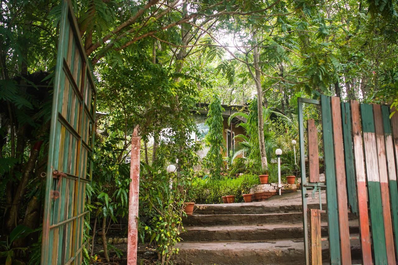 Sterling Nature Trails Dabhosa , Jawahar Birjpara Dış mekan fotoğraf
