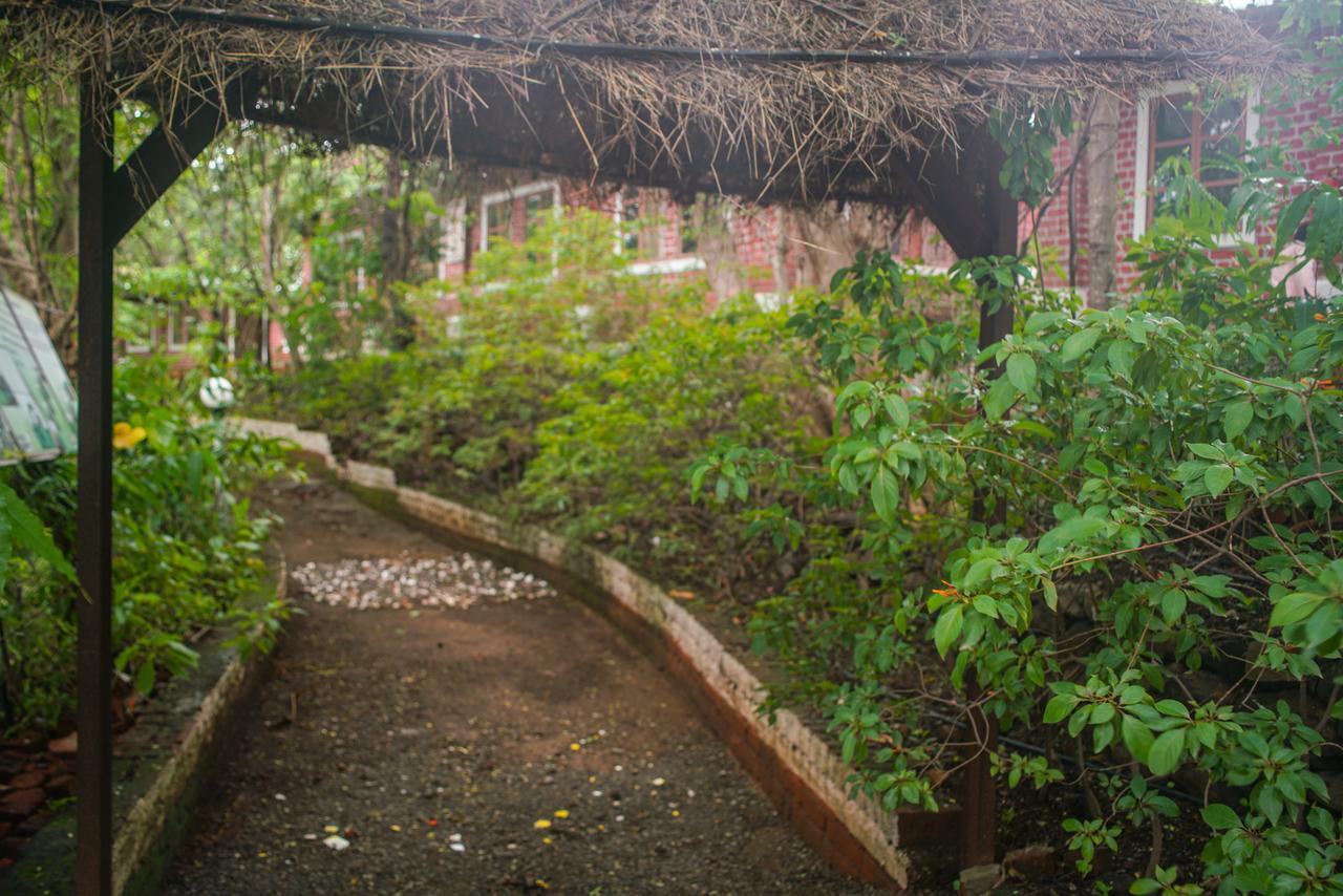 Sterling Nature Trails Dabhosa , Jawahar Birjpara Dış mekan fotoğraf